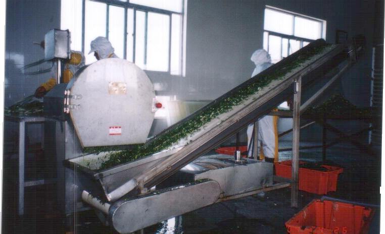 興化新藍(lán)天機(jī)械實(shí)業(yè) 蔬菜加工機(jī)械設(shè)備供應(yīng)信息