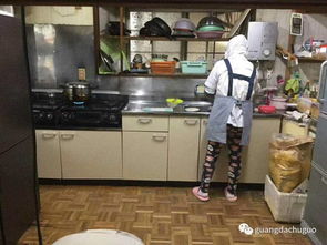 年入600萬(wàn)的高薪產(chǎn)業(yè) 蔬菜加工機(jī)械與多元化經(jīng)營(yíng)之道